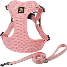 BELLA & PAL Adjustable Step-in Dog Harness, Puppy No-Pull Vest with Leash Set for XS/Small & Medium Dog, Breathable All-Weather Mesh, Reflective Strip, Secure Hook & Loop, Buckle Closure, Dual D-Rings