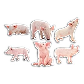 6 x 10cm Pig Vinyl Stickers - Farm Farmer Piglet Funny Animal Pattern Nature Pets Face Wild Girls Boys Travel Scrapbooking #80816