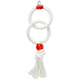 Rosewood Parrot Toy Twin Parrot Rings, Large,White