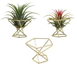 Geometric Air Plant Holder Airplants Rack Metal Plants Stand Planter Shelves Himmeli Living Decor Tillandsia Pot Containers (Gold 3pcs)