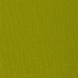 Liquitex - 1046218 BASICS Acrylic Paint, 4-oz tube, Light Olive Green