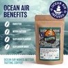 Ocean Air Whole Bean Coffee by Saltwinds Coffee Company (340g)
