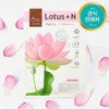 Ariul Seven Days Mask Lotus N_23ml / 아리얼 세븐 데이즈 마스크 로터스 N_23ml