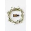 doTERRA Thyme 15 ml by doTERRA