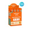 Amazing Care Sugar Free Electrolytes Powder Packets for Optimal Hydration