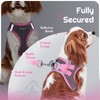 Eagloo Small Dog Harness and Leash Set, Step in Puppy