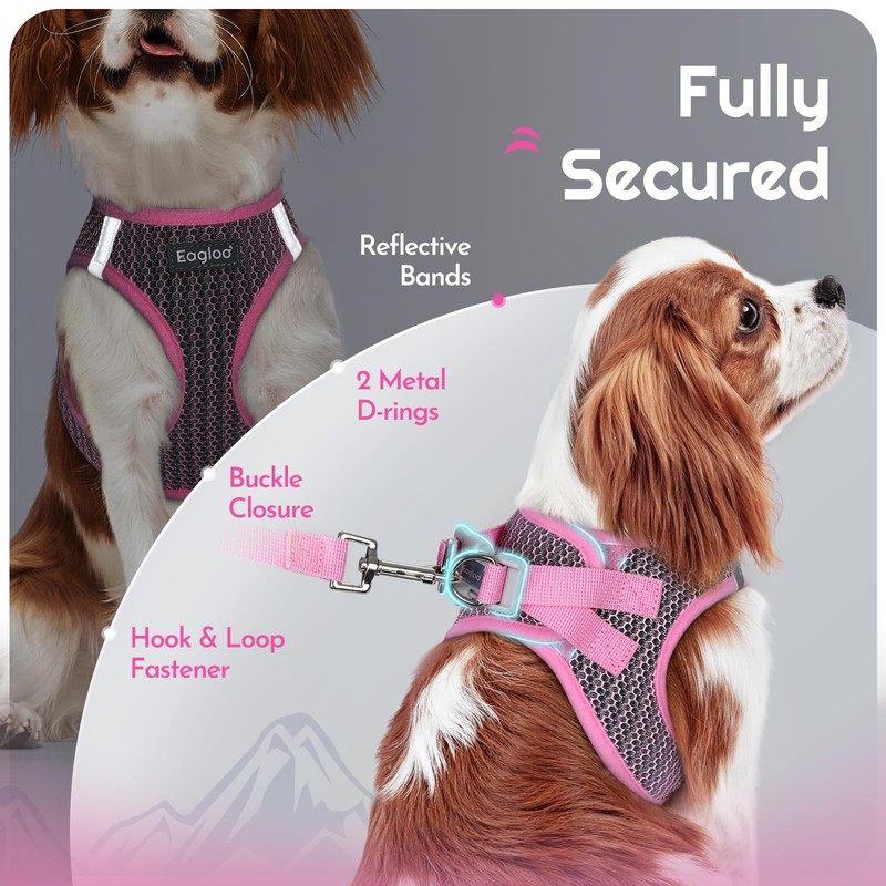 Eagloo Small Dog Harness and Leash Set, Step in Puppy