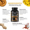 Cúrcuma con Jengibre, Diente de León y Pimienta Negra |