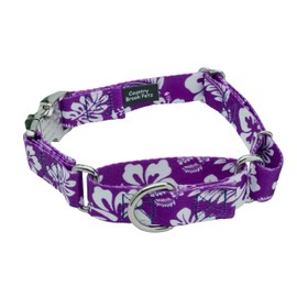 Country Brook Petz - Purple Hawaiian Martingale Dog Collar with Premium Buckle - Summer Breeze Collection Featuring Sunny Designs (1 Inch, Medium)