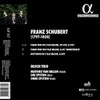 Schubert: Trio Opus 100 / Sonatensatz / Notturno