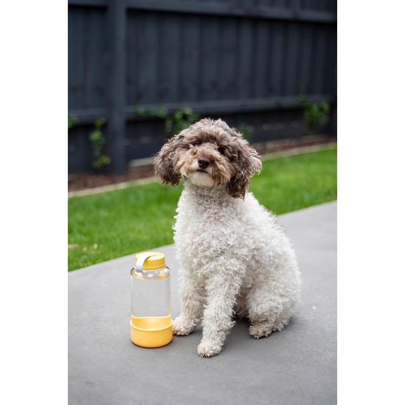 Lock & Lock Pet Water Bottle, 1 Litre Capacity