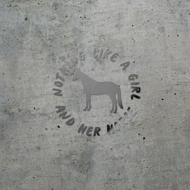 Decal Stickers of Girl and Her Horse (Metallic Silver) (Set of 2) Premium Waterproof Vinyl Decal Stickers for Laptop Smartphone Car Dirt Bike Wall Room Mason Jar Bathtub Door - ANDVER1e56283SI