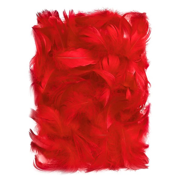 Netuno 150 pezzi piume rosse 10g piume decorative per lavoretti fai da te abiti decorazioni per capelli acchiappasogni orecchini carnevale costumi copricapo piuma colorata rossa