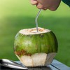 KCKHFA Coconut Opener Tool Set for Green Fresh Coconut, Manual