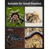9 PCS Spider Micro Water Bowls, Mini Resin Dishes for