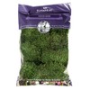 SuperMoss (21539) Mood Moss Preserved, 200 Cubic Inch Bag (Appx.