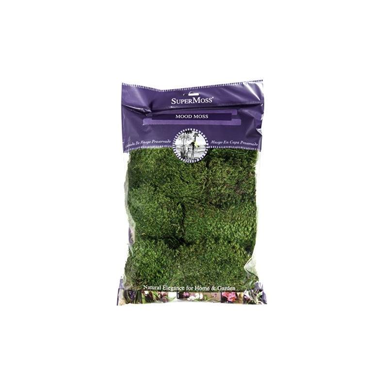 SuperMoss (21539) Mood Moss Preserved, 200 Cubic Inch Bag (Appx.