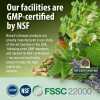Nature's Answer Pueraria Mirifica 60caps Vegetarianas Sfn