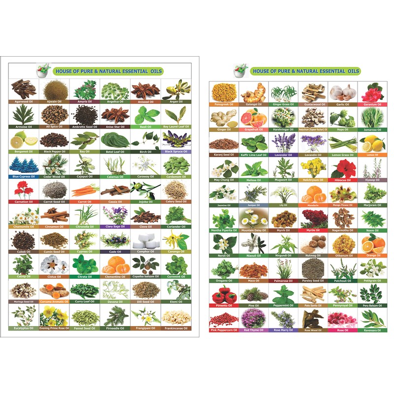 SAGE Oil 100% Natural Pure Undiluted Uncut Essential Oil 100ml