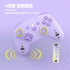Switch コントローラー ワイヤレス (パープル)