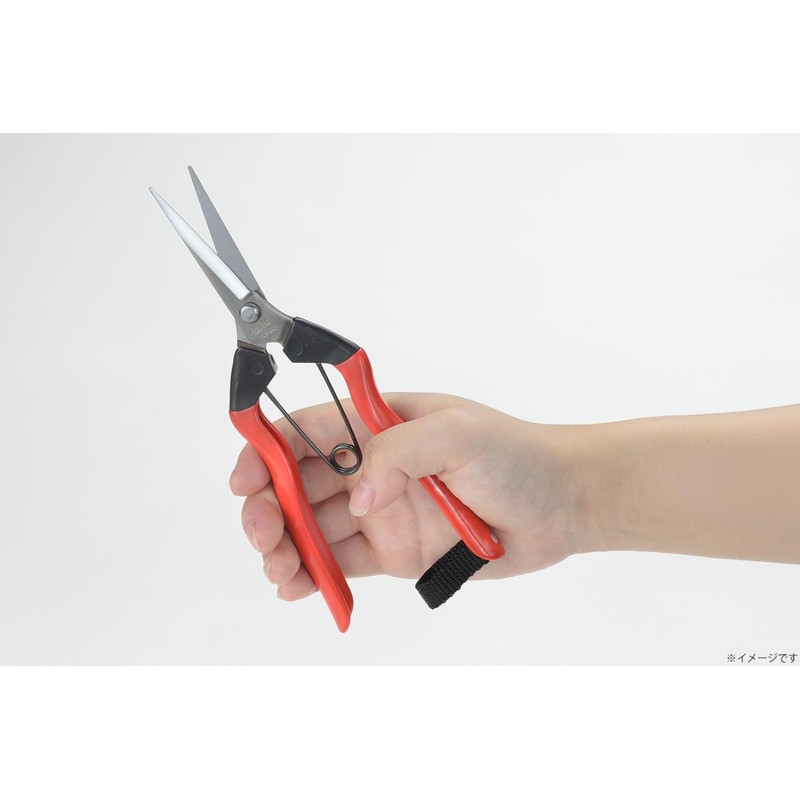 Takagi Koshiji × Takagi Stainless Steel Bud and Fruit Pruning