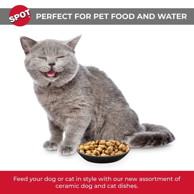 SPOT Two Tone Gray Oval Cat Food Dish - Ceramic