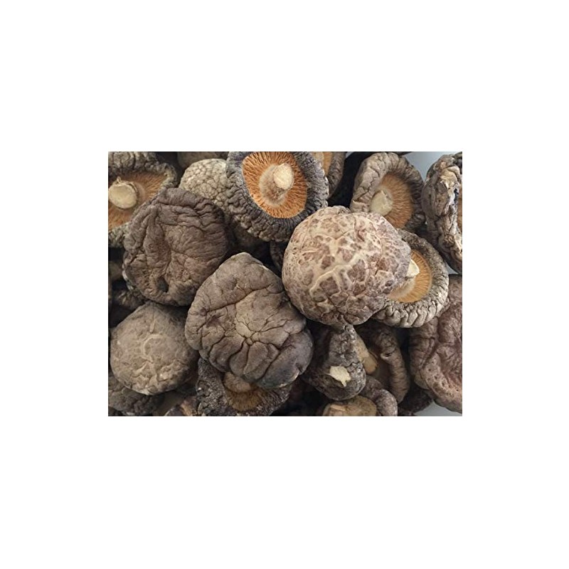PREMIUM DRIED SHIITAKE CHINESE MUSHROOM (1 LB Bag (3-4cm))