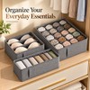 Foldable Underwear Organizer for Drawers & Closets – Non-Woven Fabric