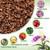 Cypress Orchid Bark Potting Mix – 6–9mm Cypress Mulch for