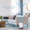 Pure Enrichment MistAire Eva - Mist-Free Evaporative Humidifier (2.8L) with