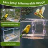 Window Bird Feeder with Strong Suction Cups - Clear Acrylic