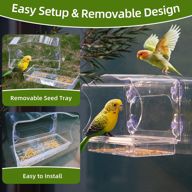 Window Bird Feeder with Strong Suction Cups - Clear Acrylic