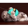 Petpets Cat Starter Set, 12 Pieces, Cat Toy, Cat Tunnel,