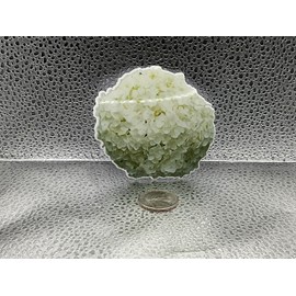 Unbranded HYDRANGEA FLOWER WATERPROOF VINYL STICKERS/DECAL
