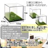 S.fields.inc Golf Ball Case Display Case with Artificial Grass Clear
