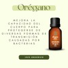 OLEUM VITAE 3x 2 Aceite Esencial De Orégano 100% Puro