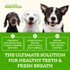 Animal Essentials SeaDent for Dogs - Kelp and Enzymes Plaque,
