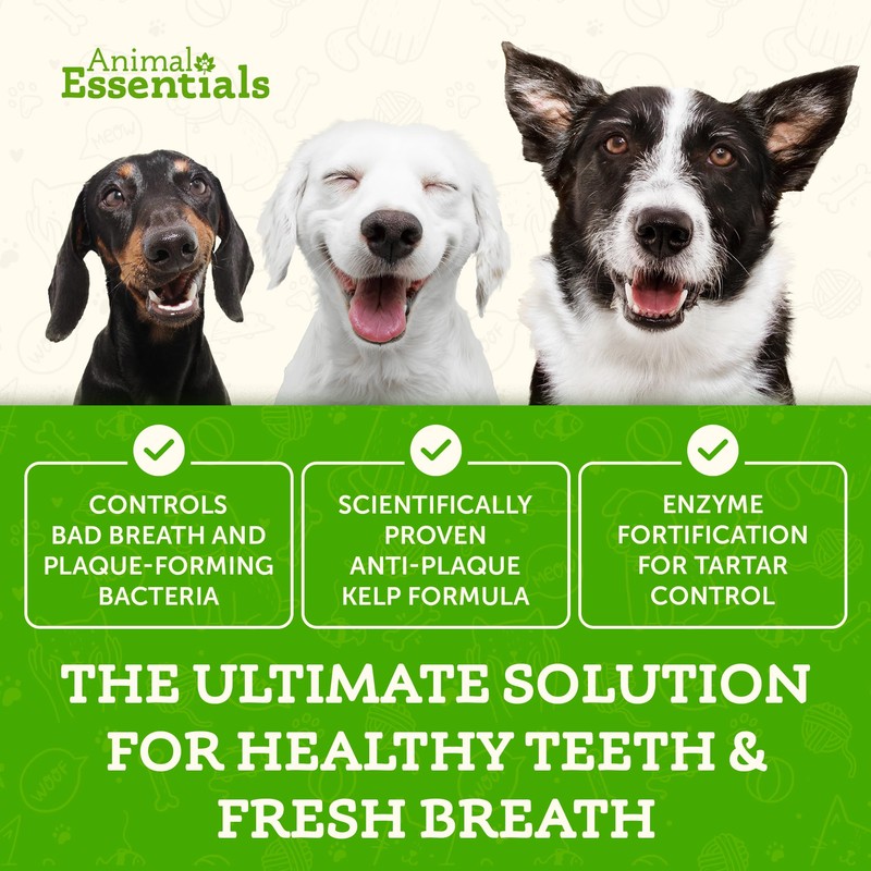 Animal Essentials SeaDent for Dogs - Kelp and Enzymes Plaque,