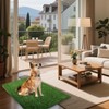 Cover Geny Dog Grass Mat, Synthetic Turf for Indoor/Outdoor Puppy