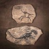 XINDAM Resin Dinosaur Fossil Statue Model Simulated Skeleton Home Office