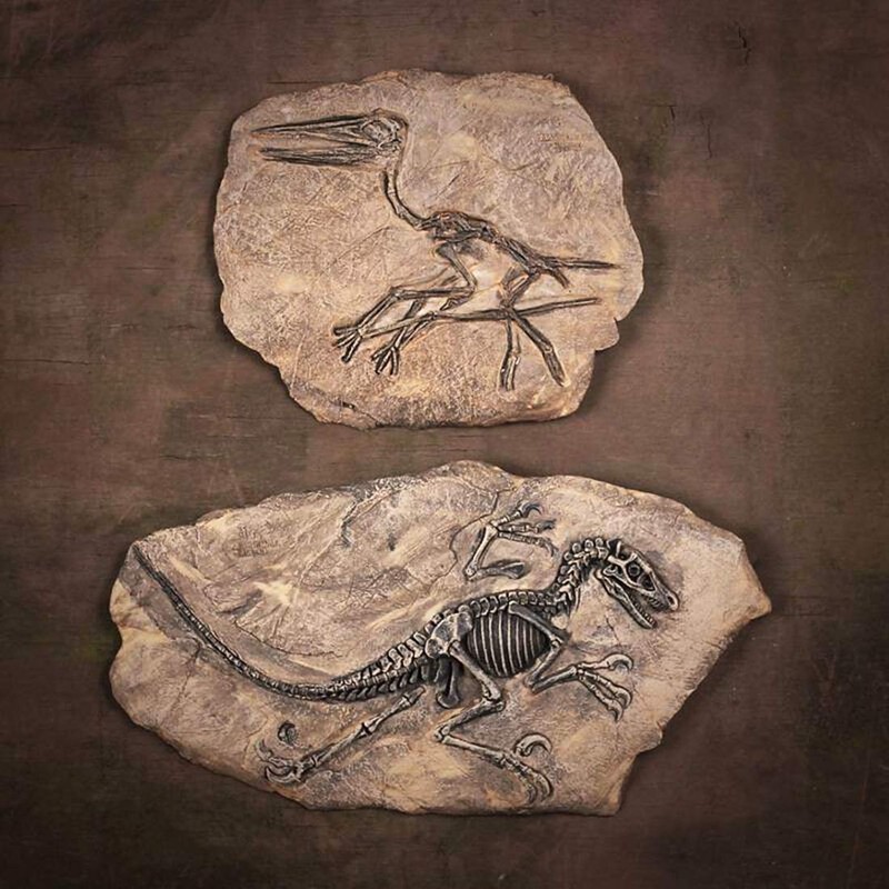 XINDAM Resin Dinosaur Fossil Statue Model Simulated Skeleton Home Office