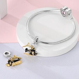 Pandach 925 Sterling Silver Charms for Bracelets Necklace with 17A Cubic Zirconia Dangle Pendant Bead Jewelry Beads Gifts for Women