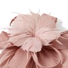 Fascinators Hats for Women Kentucky Derby Tea Party Hats 2025