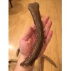 Unbranded Huge COLOSSAL JUMBO CHEWS Whole Deer Antler Dog Chew