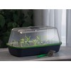 Romberg LED plant lighting, ideal light spectrum for plant cultivation,