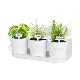 vensovo Indoor Herb Planter Set - Galvanized Windowsill Garden Pots with Tray & Drainage, Set of 3 Metal Window Planters for Kitchen & Outdoor Use, White