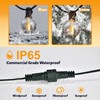 cshare Extension Cords for String Lights Inflatable Decorations, 2 Pin