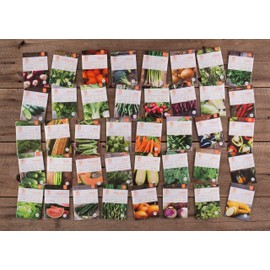 Vegetable and Herb Seeds Variety Pack for Home Garden Planting, AB
