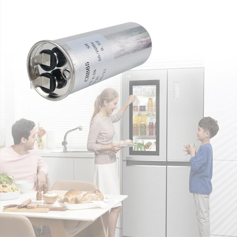 EAE32501017 Refrigerator Start Relay/Run Capacitor Replacement – Compressor Start Assembly