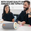 WSTER WS-810 Bluetooth Speaker with HD Sound, Portable Wireless, Output